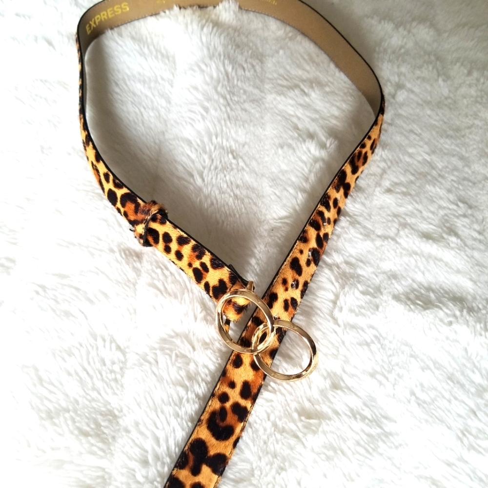 Express Belt